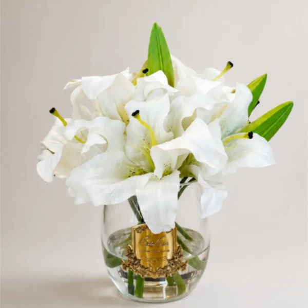 Flores